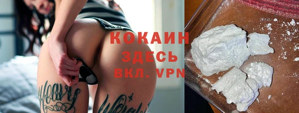 шишки Армянск