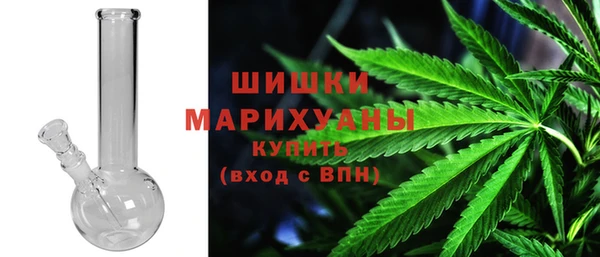 дмт Арсеньев