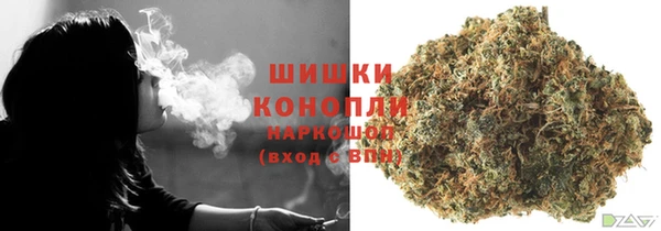 шишки Армянск