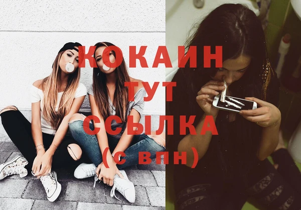 шишки Армянск