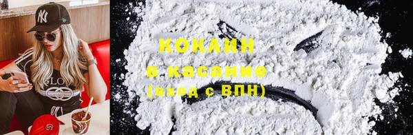 шишки Армянск