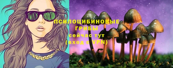 шишки Армянск