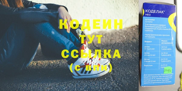 дмт Арсеньев