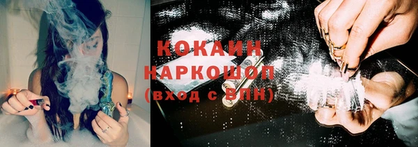 дмт Арсеньев